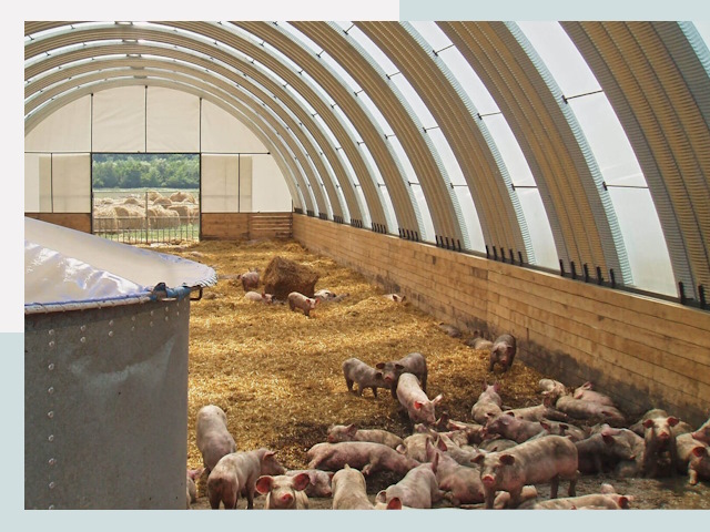 Строительство свинарников в Ростове-на-Дону